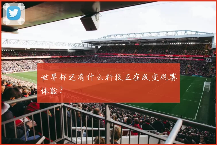 世界杯还有什么科技正在改变观赛体验?