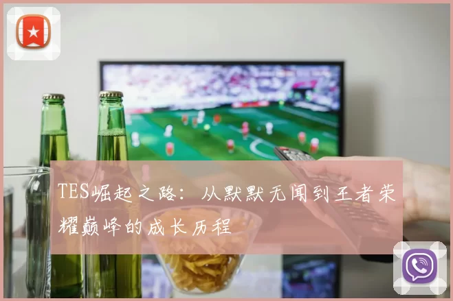 TES崛起之路:从默默无闻到王者荣耀巅峰的成长历程