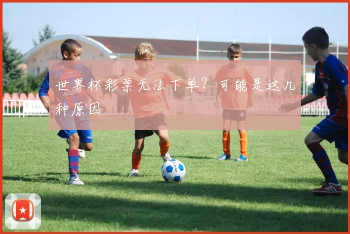 世界杯彩票无法下单?可能是这几种原因
