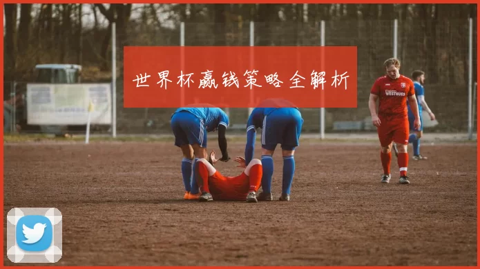 世界杯赢钱策略全解析