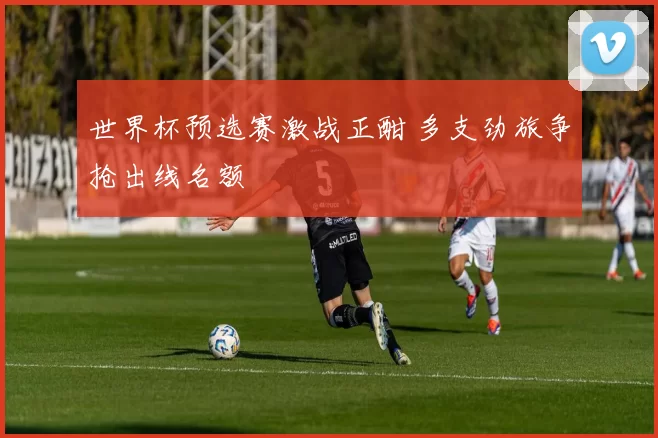 世界杯预选赛激战正酣 多支劲旅争抢出线名额