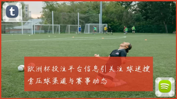 欧洲杯投注平台信息引关注 球迷搜索压球渠道与赛事动态