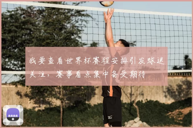 我要查看世界杯赛程安排引发球迷关注,赛事看点集中备受期待