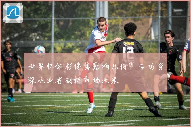 世界杯体彩停售影响几何？专访资深从业者剖析市场未来
