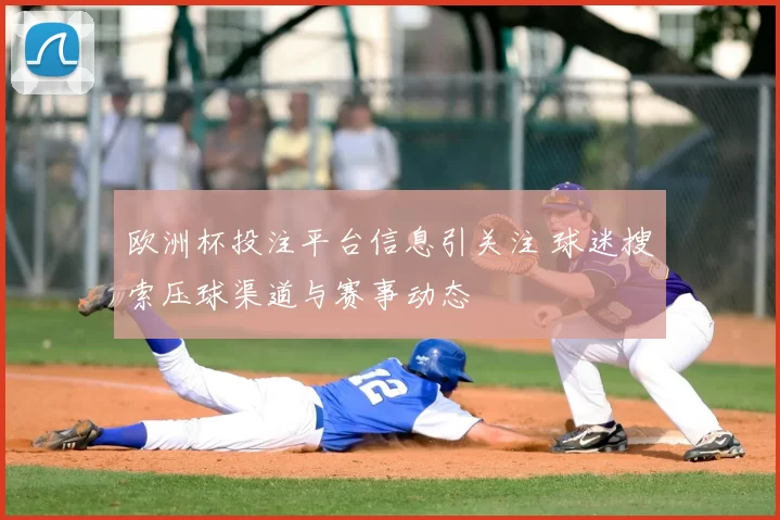 欧洲杯投注平台信息引关注 球迷搜索压球渠道与赛事动态