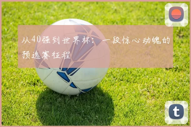 从40强到世界杯:一段惊心动魄的预选赛征程