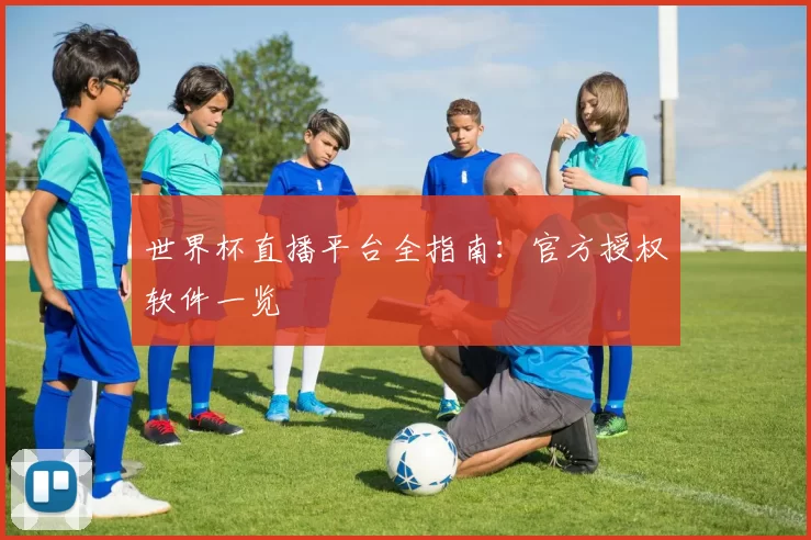 世界杯直播平台全指南：官方授权软件一览