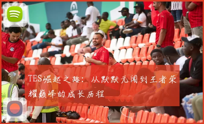 TES崛起之路:从默默无闻到王者荣耀巅峰的成长历程